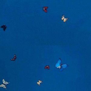 Meet your Posher, Milcy